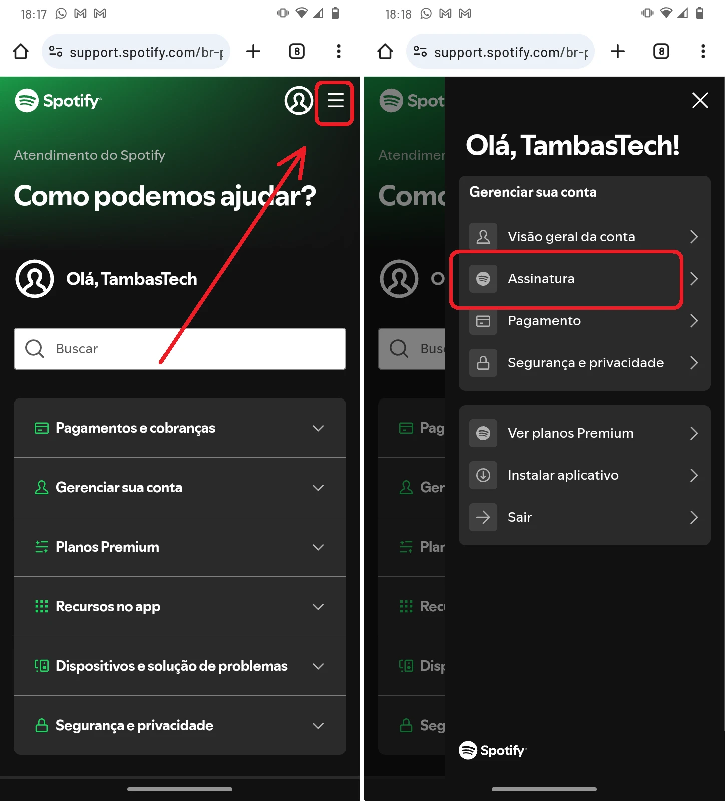 Spotify cancelar a assinatura premium